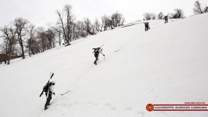 12800220_1154247764607964_8629716533424673349_n