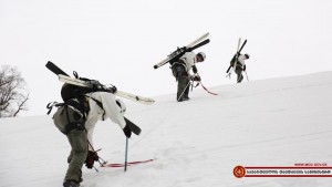 12802978_1154247754607965_6818353837945561790_n