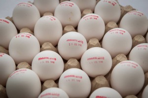 12804673_995983557143554_4252827589363003672_n