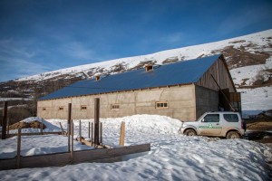 12806032_995358920539351_459280287841330808_n