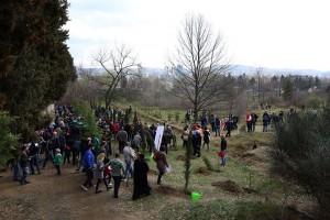 12809511_1278206742195923_5277598903526535112_n