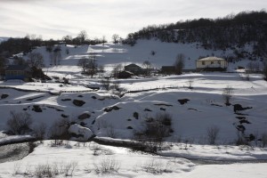 12814433_995358967206013_8786811816784532182_n