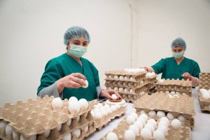 12814682_995983497143560_6740009138962342998_n