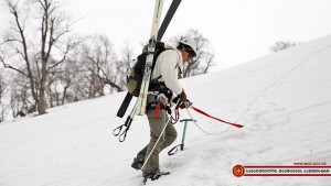 12821406_1154247584607982_4090798994061330890_n