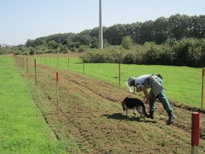 12834898_10205492715788912_1220421249_n