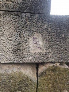 12884499_1673576176227286_1378271327_n