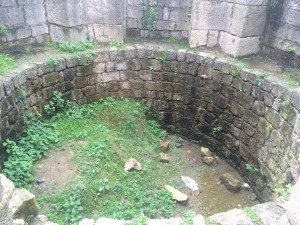 12884535_1673576172893953_1694766356_n