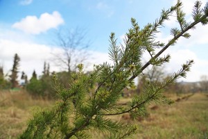 221914_1278205928862671_6665174313807624024_n