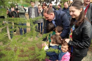 944911_1278206178862646_8326551585481189229_n