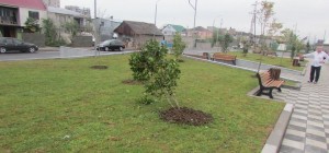 12439364_1107765202617121_8225783302259906412_n