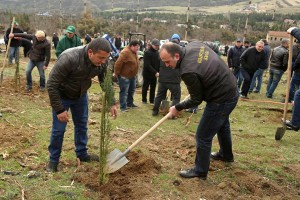 12592520_1300987673251163_8150682402548307571_n