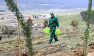 12801558_1300987226584541_7603954588230996861_n