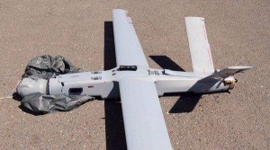 12919045_461798647359657_560294033_n