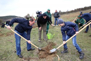 12920350_1300987099917887_5447289530665921332_n