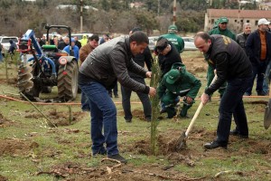 12924470_1300987569917840_81064103101750211_n