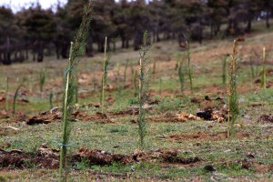 12928136_1300987096584554_1371265607352108741_n