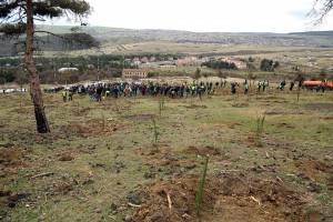 12928431_1300987833251147_673140596525251960_n