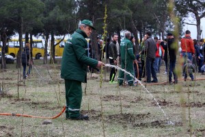 12933114_1305898706093393_2210226767892777048_n