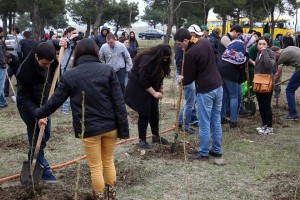 12963901_1305898339426763_4323255615221073988_n