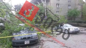 12985558_1174511315906185_1403488231569271699_n