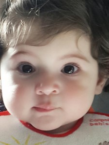 12987957_1281503941878211_731217060_n