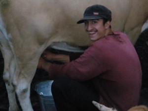 12988039_1270114786350460_1708486055_n