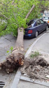 12994308_10206015923704792_3873610867203779651_n