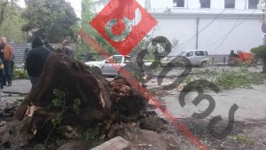 12998492_1174511439239506_8743335178726625918_n