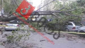 12998641_1174511619239488_3233829412812382739_n