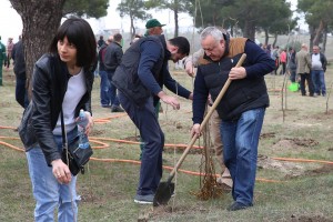 12998699_1305898762760054_4073760051637567025_n