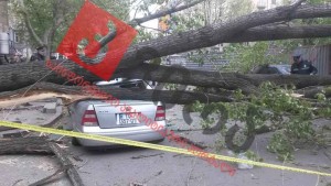 13000102_1174511592572824_2426510478732040095_n