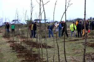 13001138_1305898679426729_1380194261176250053_n