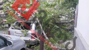 13007141_1174511519239498_2497974375879702389_n