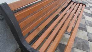 13012772_1107765152617126_1409147541202421737_n