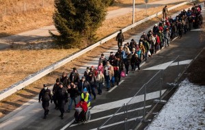 13014953_1165292633510973_866821907_n