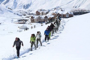 13020393_1279716188723653_77769794_n