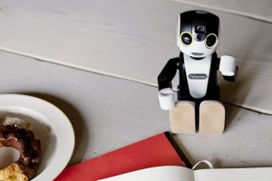 13020543_10205822504553425_2047131148_n