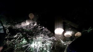 13035577_10207470201890904_79483861_o