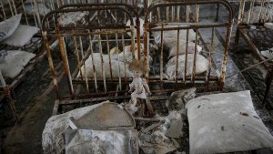 13045545_10205873287142958_2034554667_n