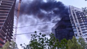 13077391_10207482431996649_885482193_n