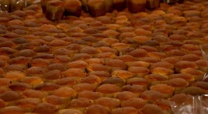 13087844_990074211068610_163798400580846082_n