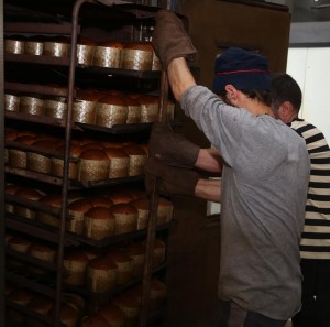 13096216_990074177735280_1769174043294675622_n