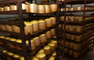 13124451_990074174401947_2617510049625449279_n