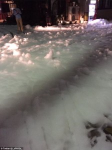 333F9DE100000578-3543665-image-m-56_1460834637165