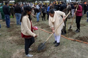 942871_1305898336093430_6325929239435731292_n