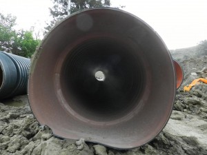 13102843_1551005401869093_366117708351793244_n