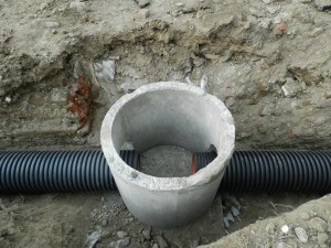 13103447_1551005345202432_5147620257555915397_n