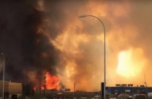 13115384_10205932326778912_1493689451_n