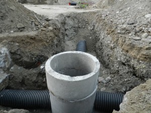 13133214_1551005415202425_2912232236951737900_n