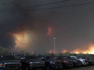 13140548_10205932326058894_818023615_n